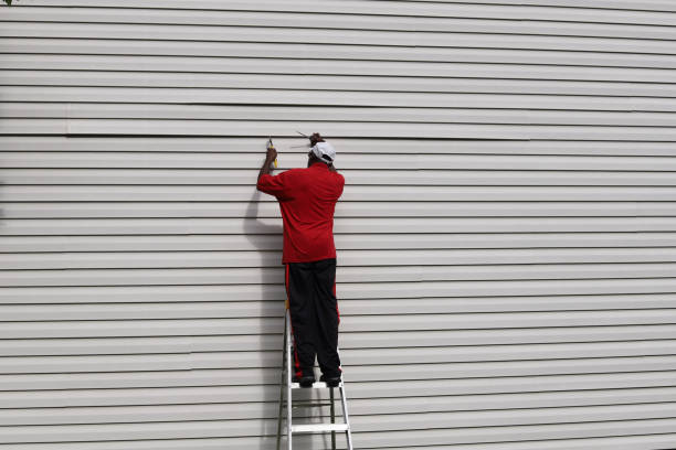 Best Siding Painting and Refinishing  in Athens, IL